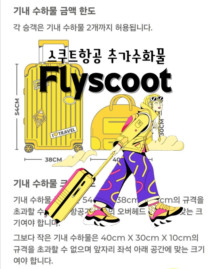  스쿠트항공 기내수화물 용량 및 위탁수화물 추가금액 +국제선기내반입금지 화장품