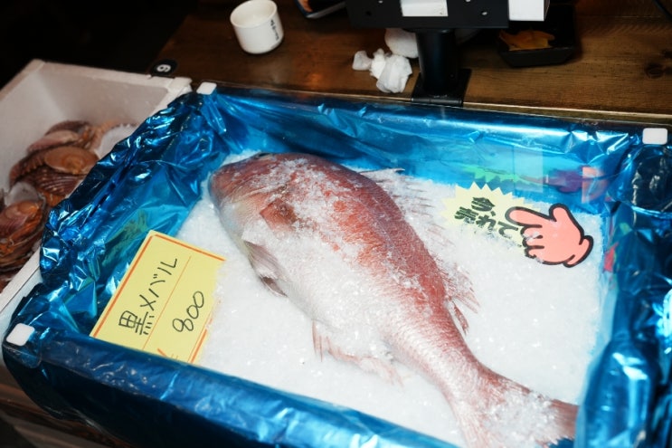  압구정 수산시장 고잔점 내돈내산후기!