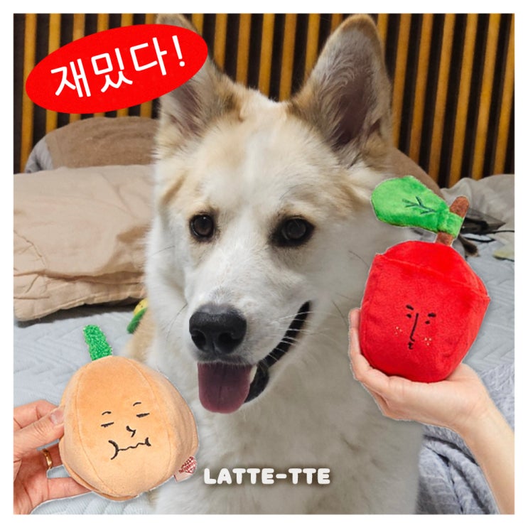  강아지 노즈워크, 대형견한테도 딱인 더퍼리폭스