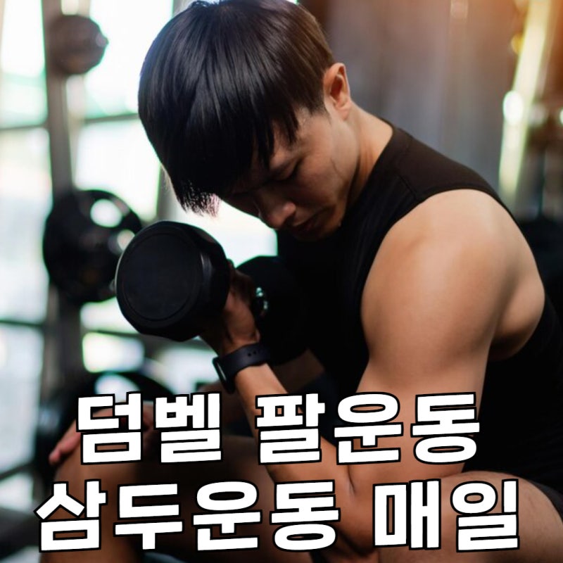 덤벨 팔운동 삼두운동 매일 루틴 기구 종류 팔꿈치 통증없이 하기