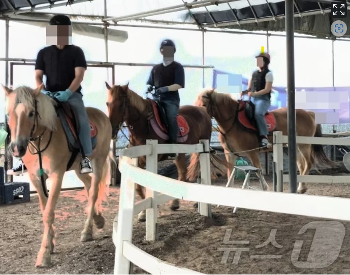 낙마 사고로 크게 다쳤는데…승마장과 보험처리 싸고 분쟁 낙마 사고로 크게 다쳤는데…승마장과 보험처리 싸고 분쟁