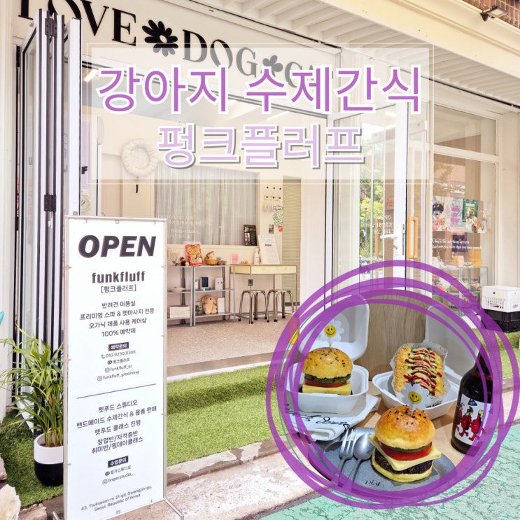  성수동이색데이트 광진구강아지수제간식 만드는 곳 방문 후기