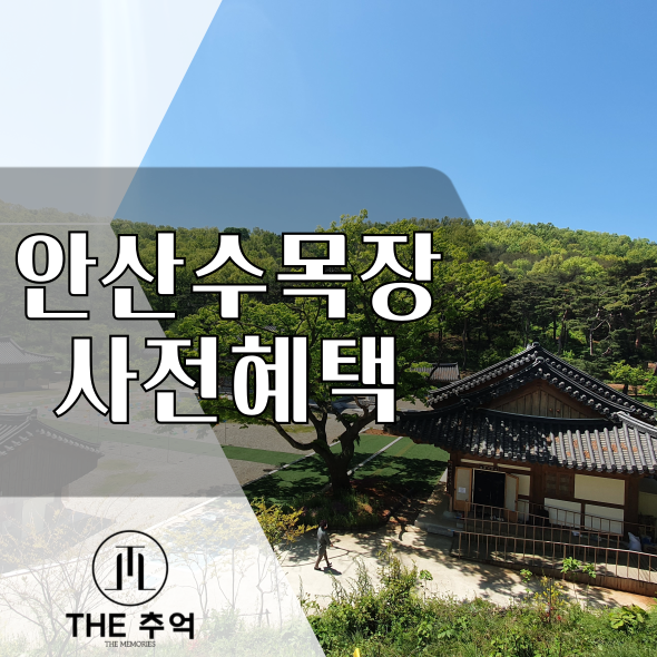  안산 수목장 : 쌍계사 수목장으로 미리 준비하셨어요.
