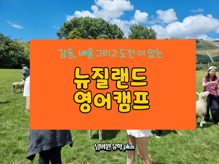  뉴질랜드영어캠프를 고를때 참고하세요 ! #청주해외영어캠프