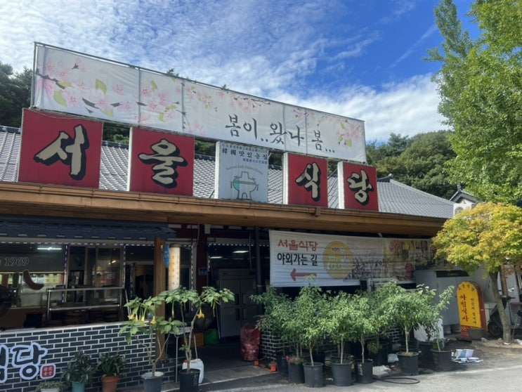  [공주][내돈내산] 갑사 애견동반식당 한식 서울식당 / 서울정식, 반려견 내부 이용 가능