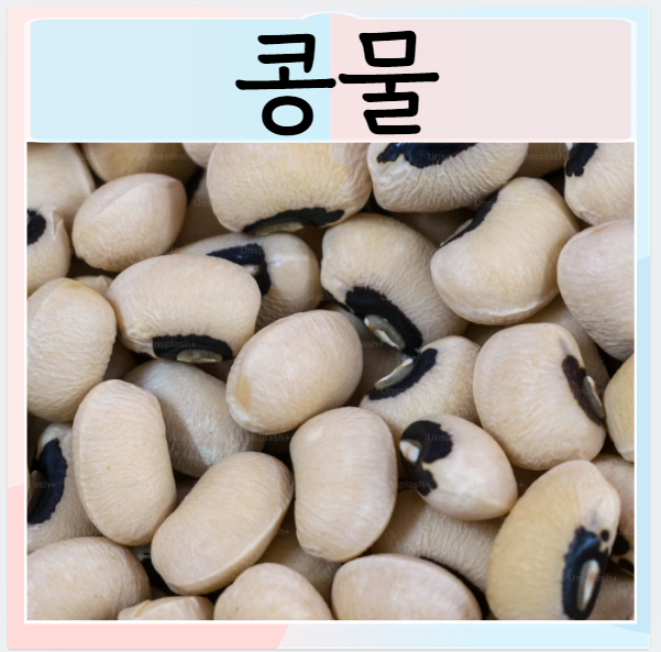  콩물 시원한 콩물 효능과 장점 먹으면 좋은점