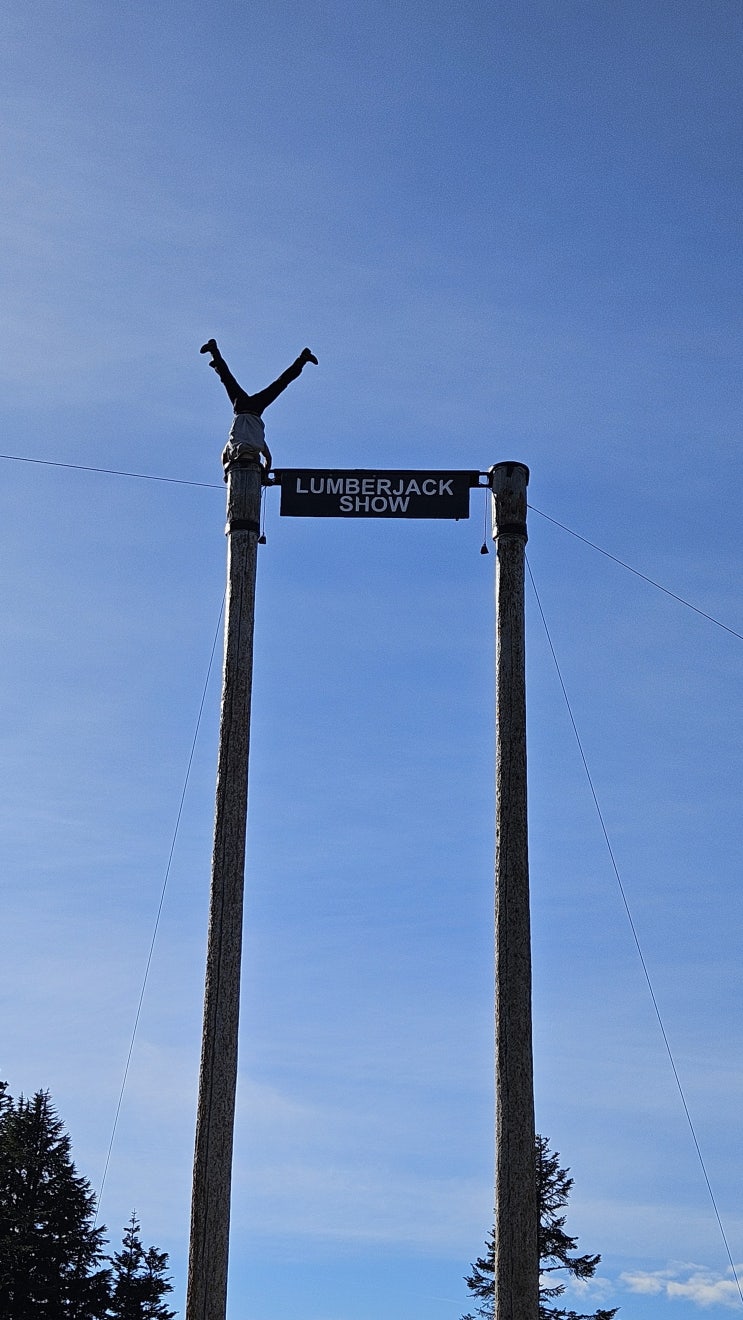  A  fun trip to Grouse Mountain