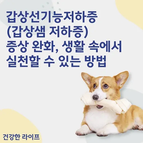  갑상선기능저하증(갑상샘 저하증) 증상 완화, 생활 속에서 실천할 수 있는 방법