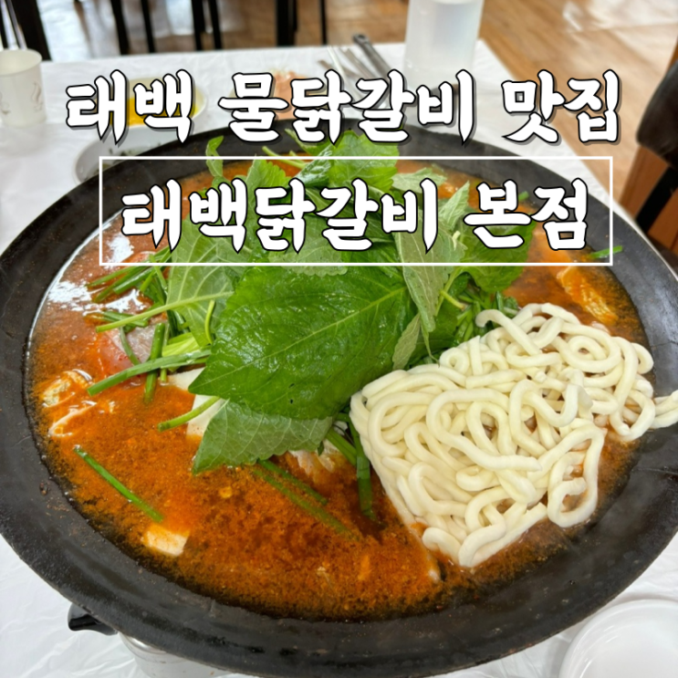  태백 물닭갈비 맛집 카레향이 솔솔 나는 태백닭갈비 본점