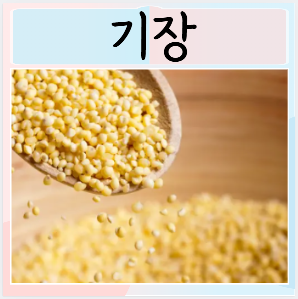  기장 장점 효능 먹으면 좋은점들 알아보자