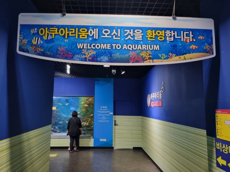 무료 관람 무료 주차! 아이와 함께하는 해양탐험 국립수산과학원 아쿠아리움 무료 관람 무료 주차! 아이와 함께하는 해양탐험 국립수산과학원 아쿠아리움