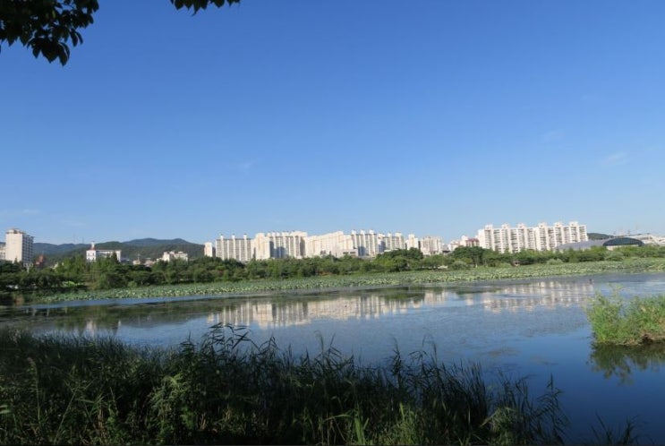  수원에 가볼만한 곳 산책하기 좋은 만석거 저수지