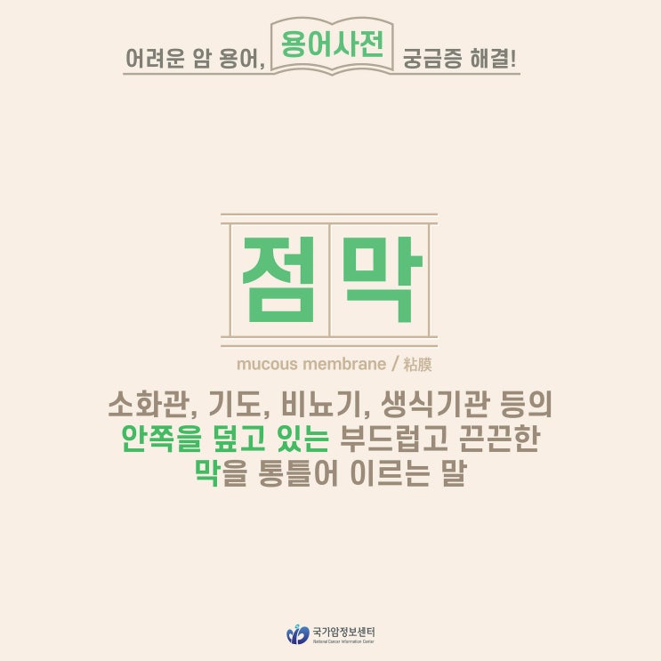  [암 용어사전] 점막