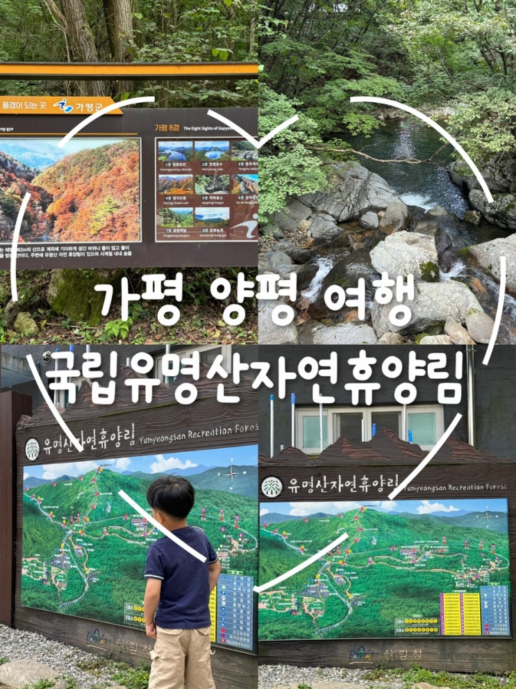  양평 근교 가평 국립 유명산자연휴양림에서 즐긴 시원한 계곡 산책과 물놀이