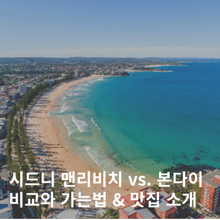  시드니 맨리비치 페리 가는법 맛집 본다이비치 비교
