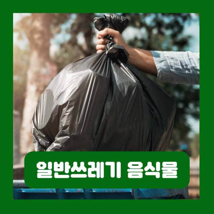  일반쓰레기 음식물 구분 과태료 양파 수박 껍질 닭뼈 과일 씨앗 김장