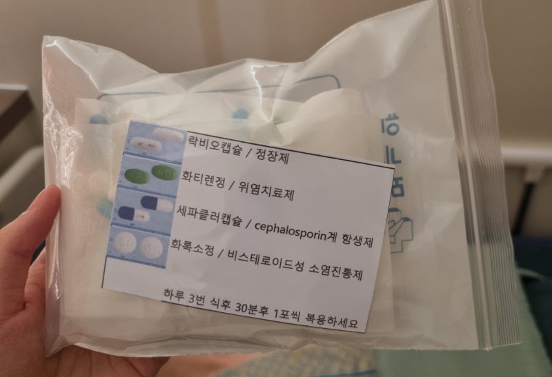 정계정맥류 수술 후 회복 후기 (서주태 ㅅㅈㅌ 비뇨기과)
