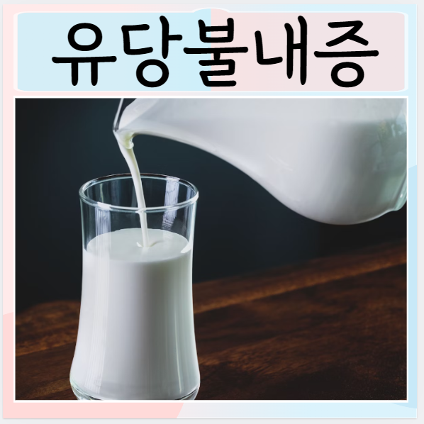  유당불내증 우유먹으면 배아파요 증상 이유 대체유