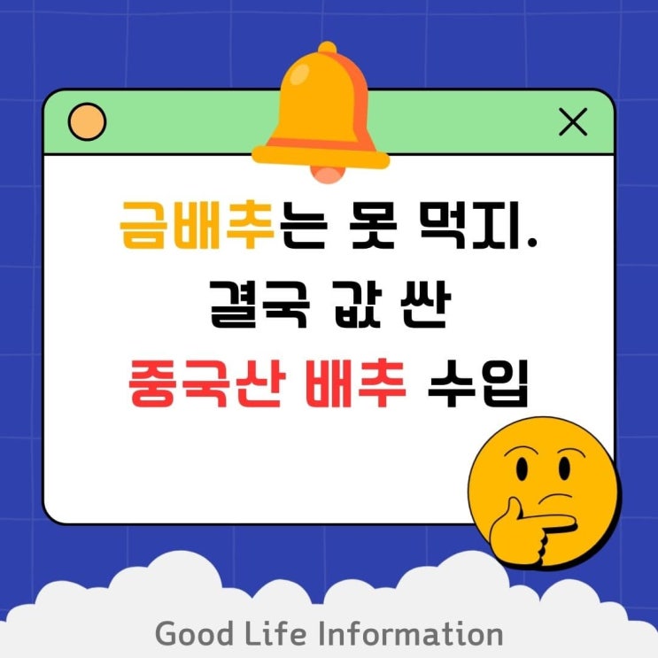금배추를 먹으라고? 채소 가격 폭등과 중국산 수입 논란, 유럽은 어떻게 가격을 유지하는지 알아보자. 금배추를 먹으라고? 채소 가격 폭등과 중국산 수입 논란, 유럽은 어떻게 가격을 유지하는지 알아보자.