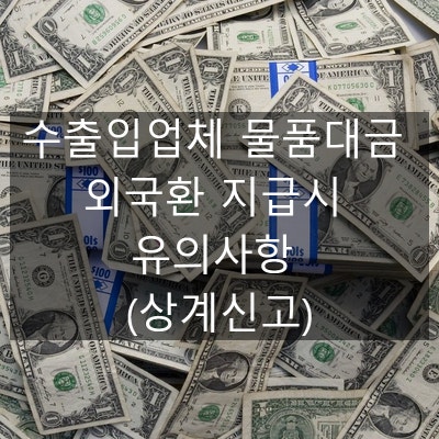  수출입업체 물품대금 외국환 지급시 유의사항 (상계신고)