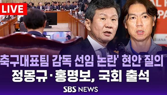 국가대표팀 감독 선임 논란, 정몽규·<b>홍명보</b>·<b>이임생</b>·박주호... 
