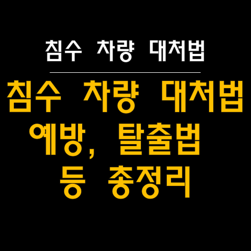  침수 차량 예방 및 대처법, 탈출법 등 총정리! 