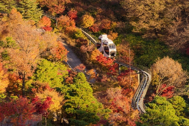  LG그룹 선대회장님들이 정신이 깃든 곤지암 화담숲(+모노레일, 리조트 예약)