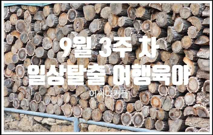  서울 탈출 여행 육아 시작 ~ 9월 3주 차 일상 기록