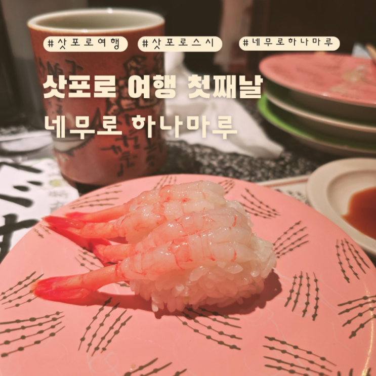  삿포로 시내에서 저녁먹을때 스시맛집은 네무로하나마루 미레도점