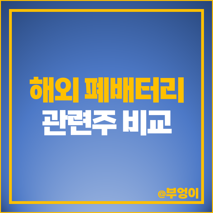 해외 폐배터리 관련주 테슬라 주가 BHP 리사이클 홀딩스 루시드 주식 해외 폐배터리 관련주 테슬라 주가 BHP 리사이클 홀딩스 루시드 주식