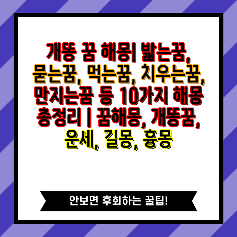 개똥 꿈 해몽| 밟는꿈, 묻는꿈, 먹는꿈, 치우는꿈, 만지는꿈 등 10가지 해몽 총정리 | 꿈해몽, ....