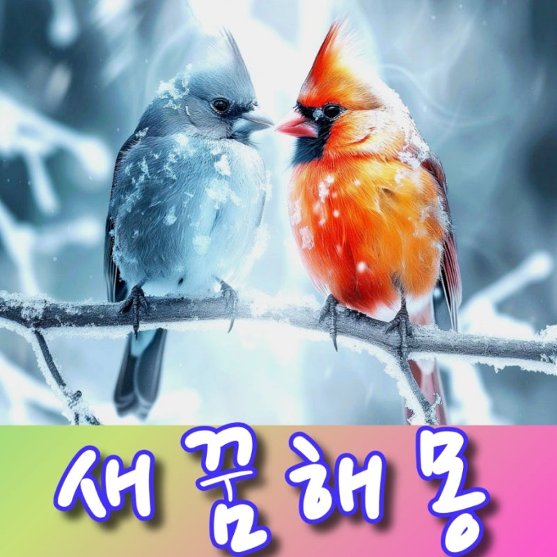 새꿈 해몽 태몽 대백과 _큰 새, 작은 새, 죽은 새, 예쁜 새, 갇힌, 떨어지는, 나는 새꿈