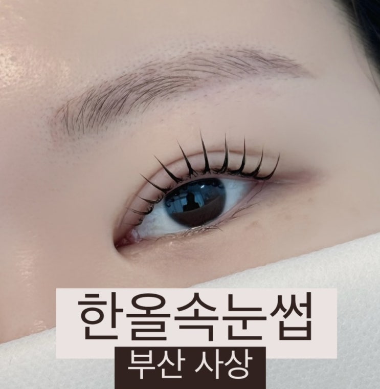  사상속눈썹펌 추천 | 속눈썹 펌만 전문으로 하는 한올속눈썹