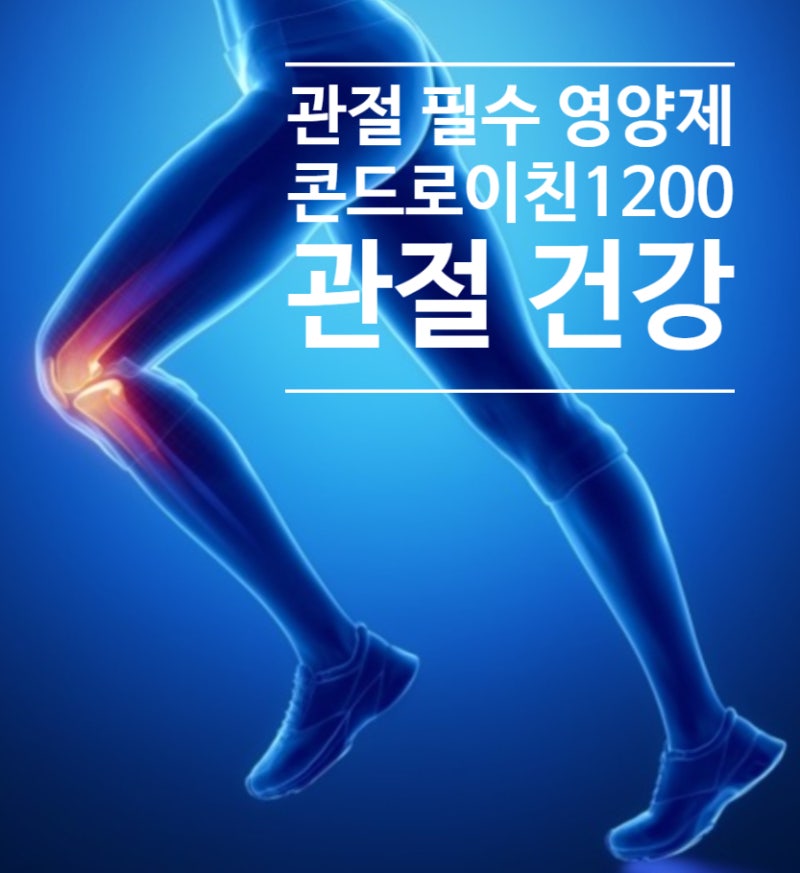 관절 건강 필수 영양소 콘드로이친1200 부모님 선물로 최고
