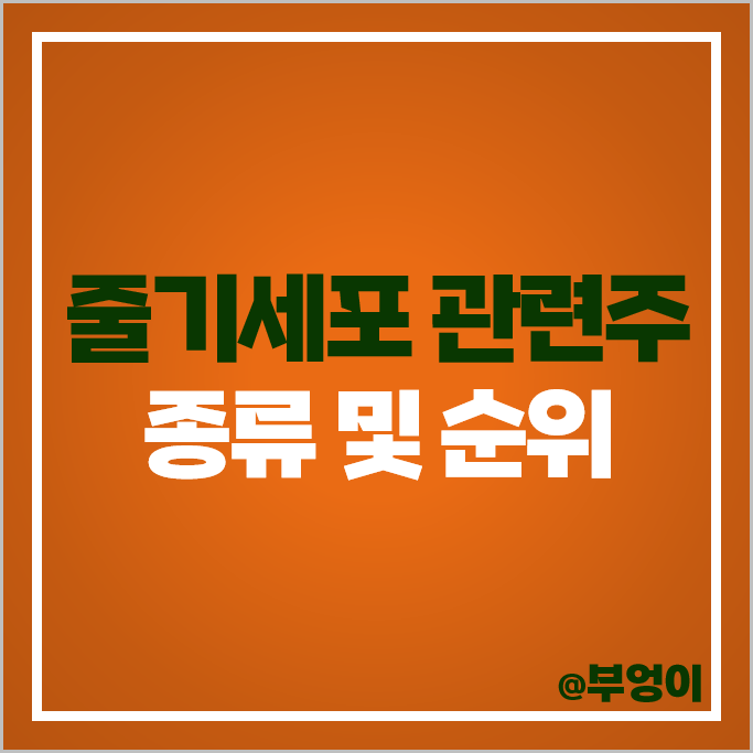 줄기세포 관련주 코아스템 켐온 제일약품 주가 에이치엘비 생명과학 HLB 주식 줄기세포 관련주 코아스템 켐온 제일약품 주가 에이치엘비 생명과학 HLB 주식