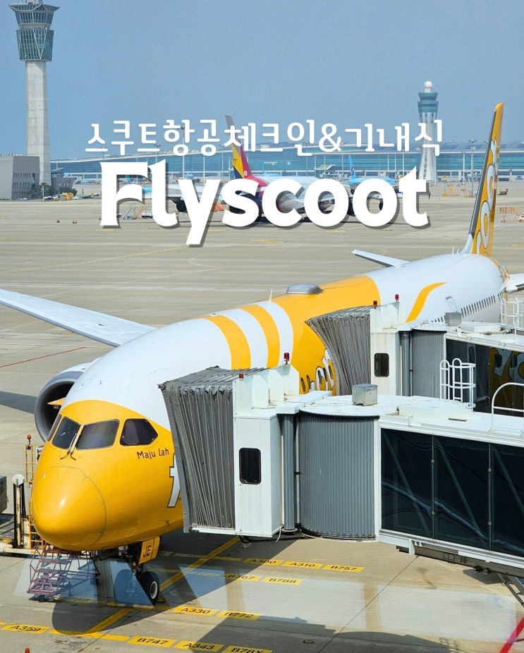  스쿠트항공 체크인하고 기내식먹고 +좌석변경까지