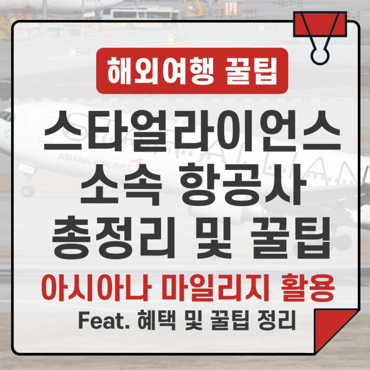  스타얼라이언스 회원 항공사 총정리/ 허브 공항과 인기 노선 안내 (아시아나 마일리지 활용법)
