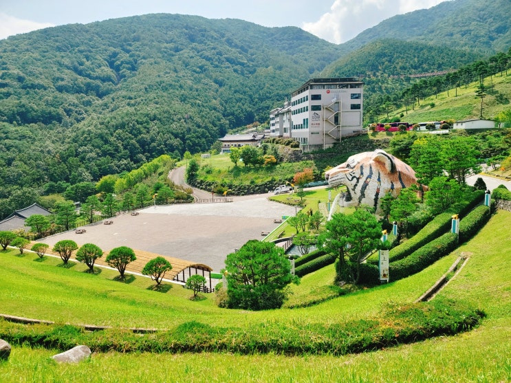  산청가볼만한곳, 동의보감촌 산청한방 가족호텔