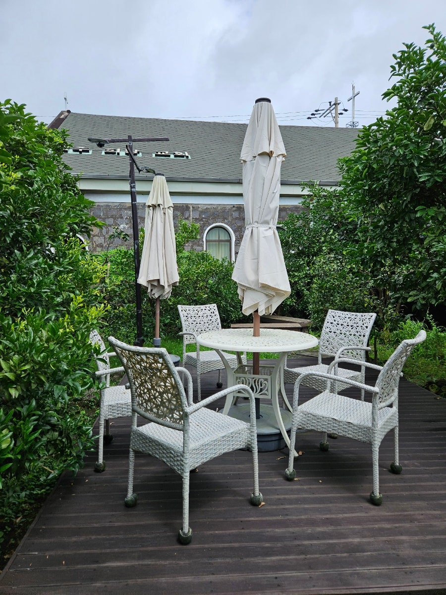 플루메리아 사진 4