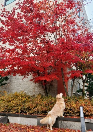 사진 4