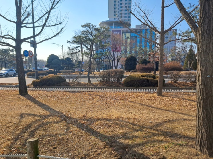  광진구 손해사정인의 현명한 상담