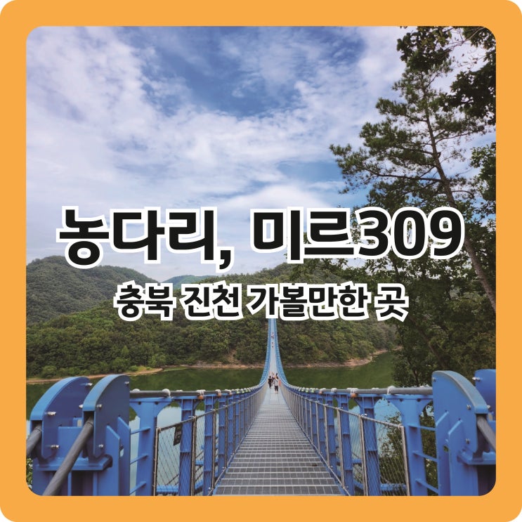  [진천 볼거리 추천] 충북 진천 가볼만한 곳 ㅣ 뚜레한우 음성점, 농다리, 미르309