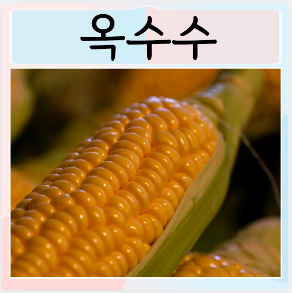  옥수수 효능 칼로리 먹으면 좋은점 영양가