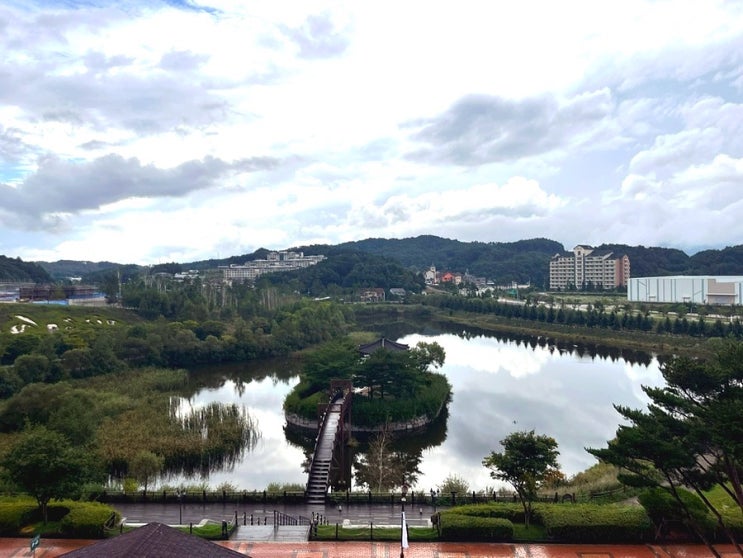  [강원도 여행 / 평창] 평창여행 1일차, 호캉스, 알펜시아 호텔, 다키닥팜, 대관령자연애, 안반대기, 비 오는 날 여행