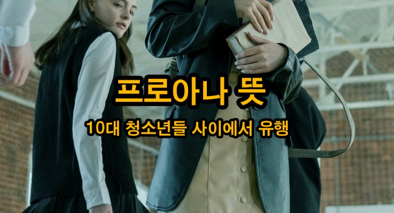 10대 청소년들 사이에서 유행하는 프로아나 뜻
