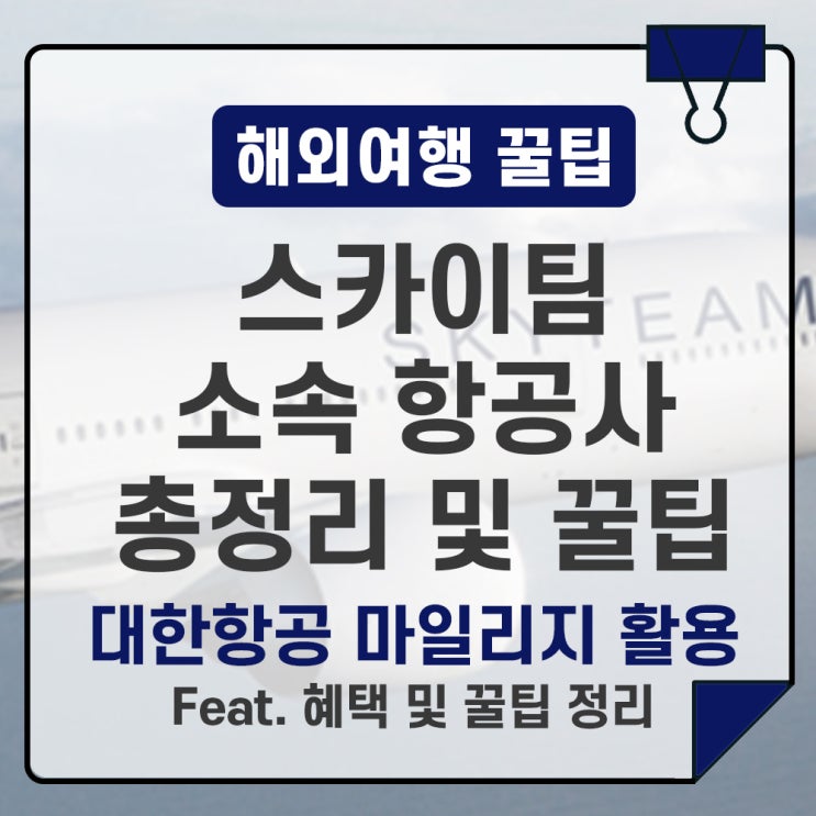  스카이팀 회원 항공사 총정리/ 허브 공항과 인기 노선 안내 (대한항공 마일리지 사용법)