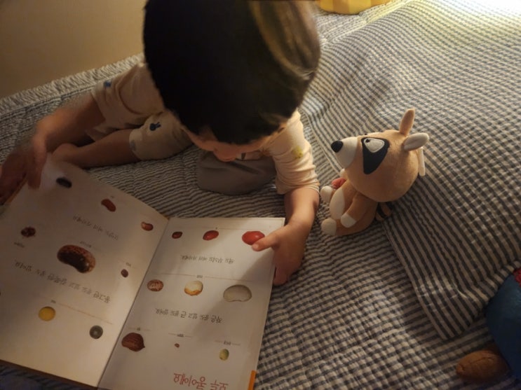  책안읽는아이, 매일 20분 독서로 변화시키는 방법 /책안읽는아이도 좋아하는 책읽게하는방법