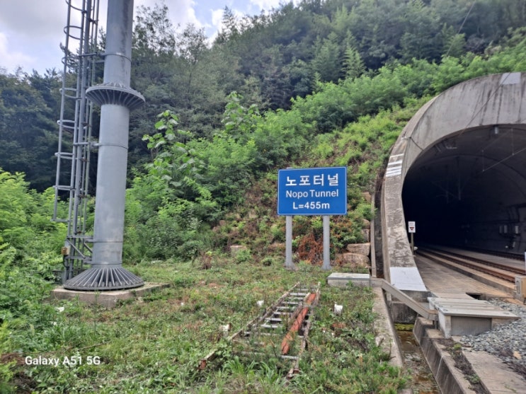  부산  금정구 두구동 공공기관 통신설비 주변 예초제초대행("부산예초대행")