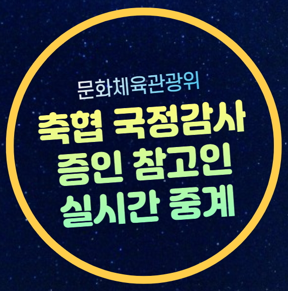 중계 <b>정몽규</b> 회장 <b>홍명보</b> 감독 <b>이임생</b> 박주호 증인 참고인... 