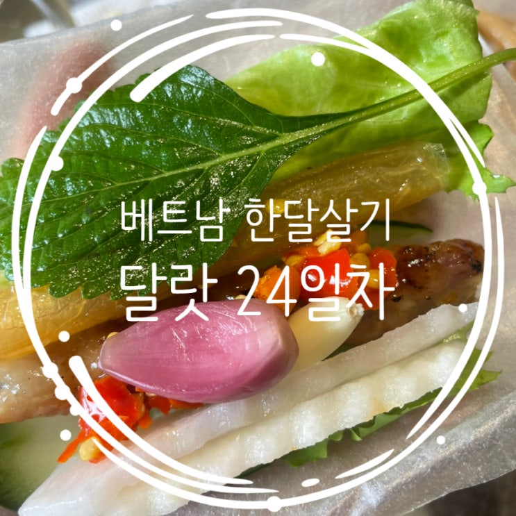  달랏 로컬 맛집 pho ha noi xua, 넴느엉 푸엉, 닭구이 QUAN 668